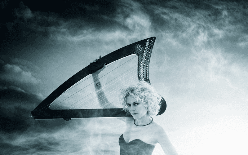 Elegant Distraction voordelig boeken bij burolivemuziek.nl