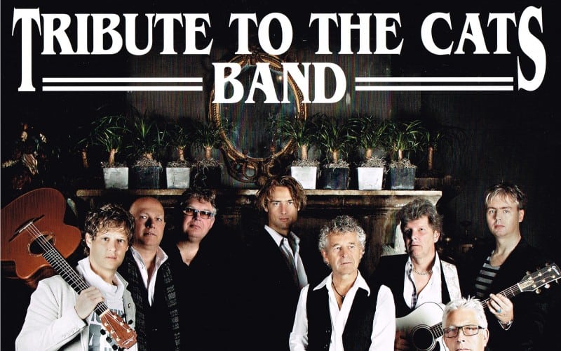Tribute to the Cats band voordelig boeken bij burolivemuziek.nl