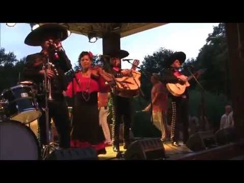 Gipsy Queen voordelig boeken bij Burolivemuziek.nl