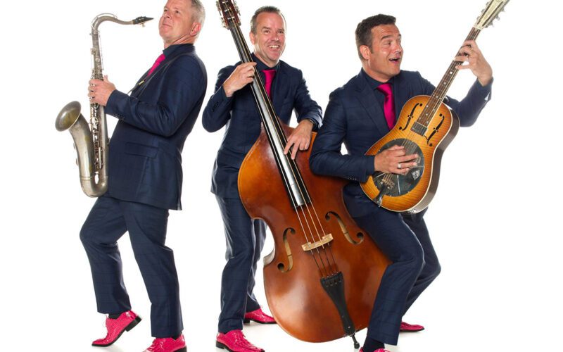 De Flamingos boeken bij Burolivemuziek.nl