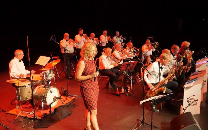DELTA SWING BIGBAND boek je bij Burolivemuziek.nl